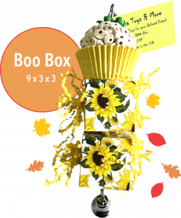 Boo Box! Maka Toys--For Small to Medium Birds